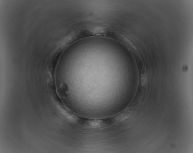 X0000093560618200710151108