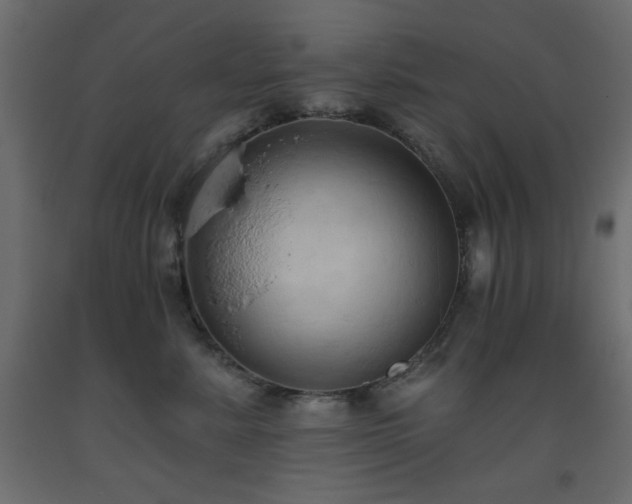 X0000093560619200710151108