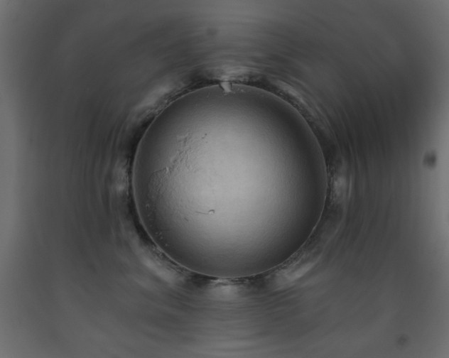 X0000093560620200710151108
