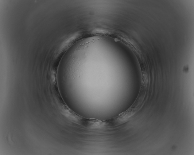 X0000093560621200710151108