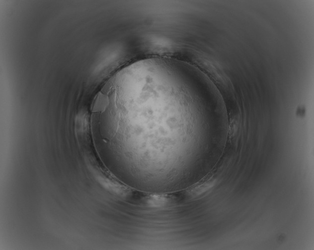 X0000093560623200710151108