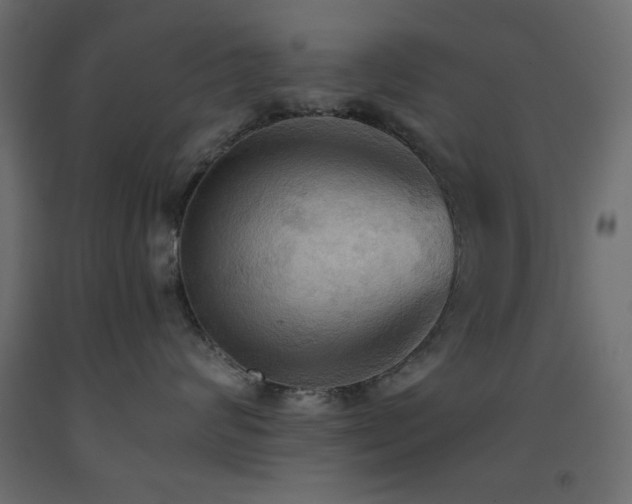 X0000093560624200710151108