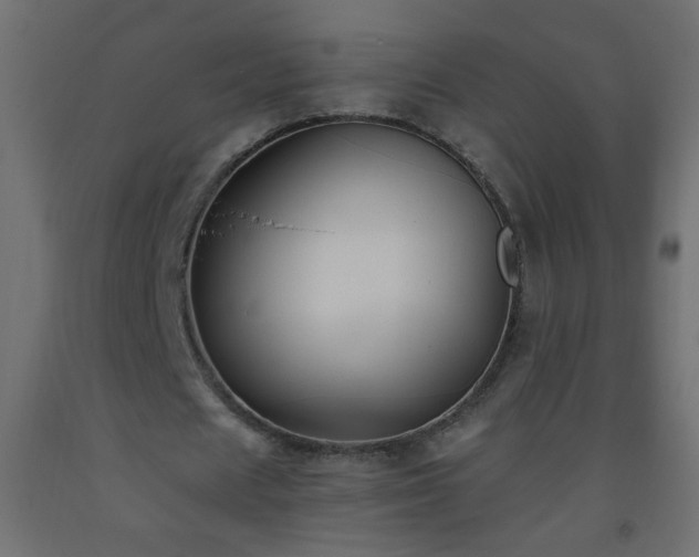 X0000093560625200710151108