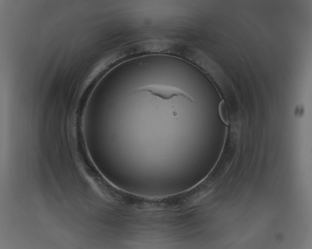 X0000093560626200710151108