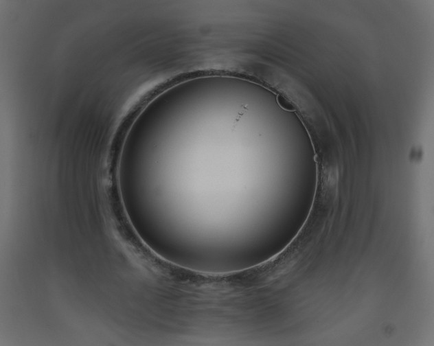 X0000093560628200710151108