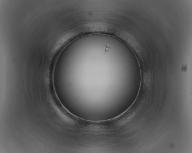 X0000093560629200710151108