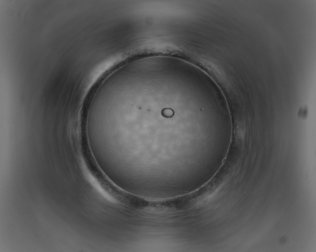 X0000093560630200710151108