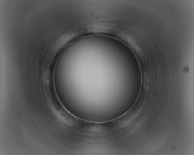 X0000093560631200710151108
