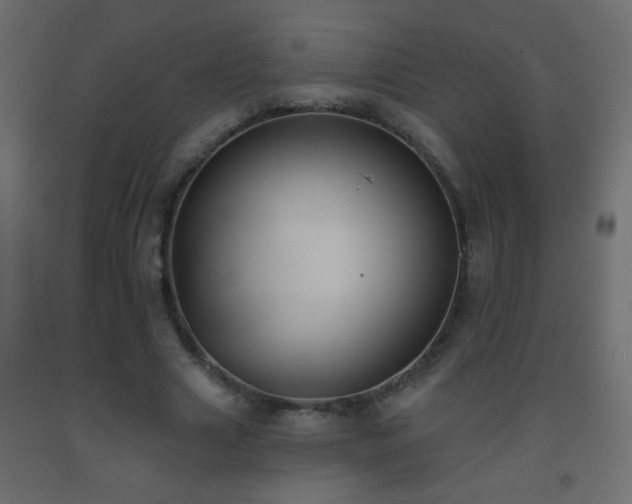 X0000093560633200710151108