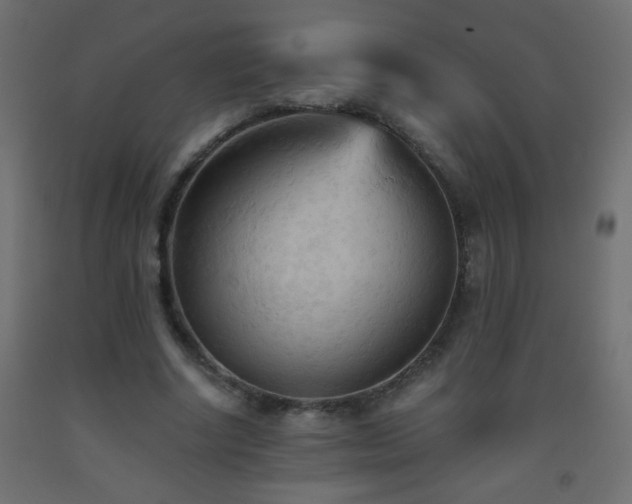 X0000093560634200710151108