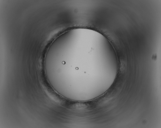 X0000093560636200710151108