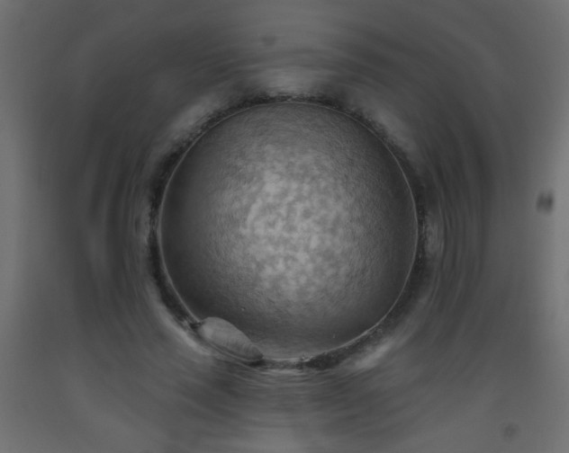 X0000093560637200710151108
