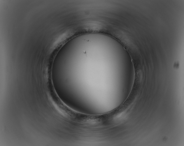 X0000093560638200710151108