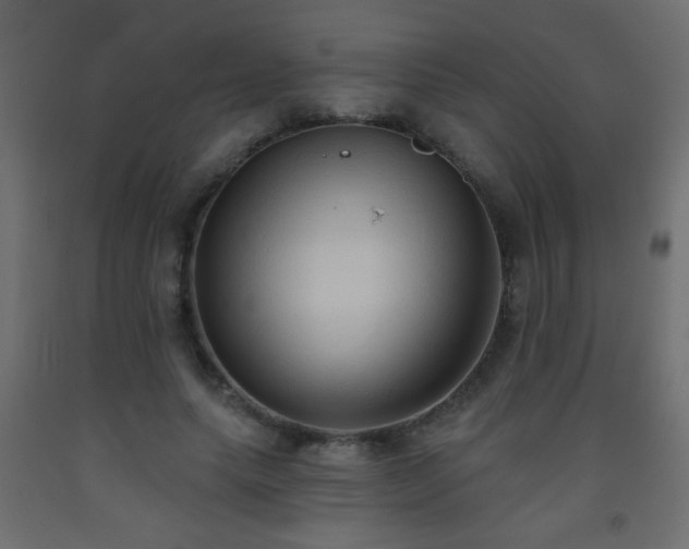 X0000093560639200710151108
