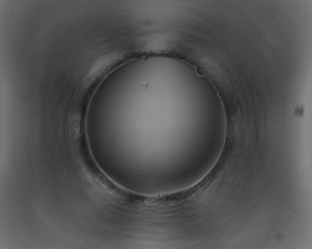 X0000093560640200710151108