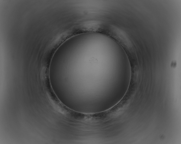 X0000093560641200710151108