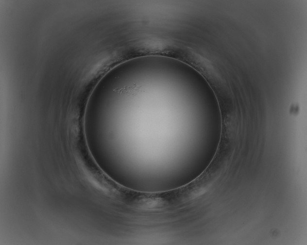 X0000093560642200710151108