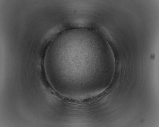 X0000093560643200710151108