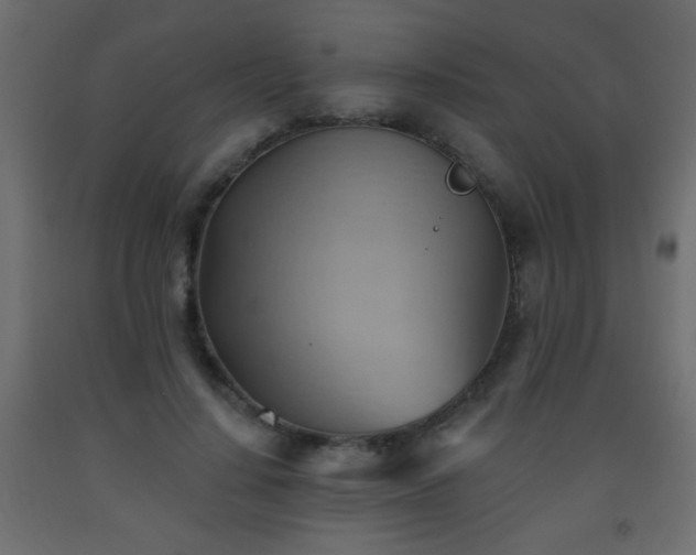 X0000093560644200710151108