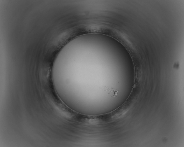 X0000093560645200710151108