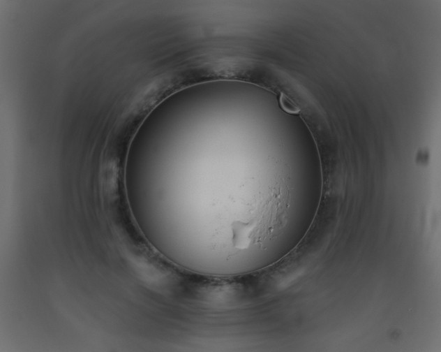 X0000093560646200710151108