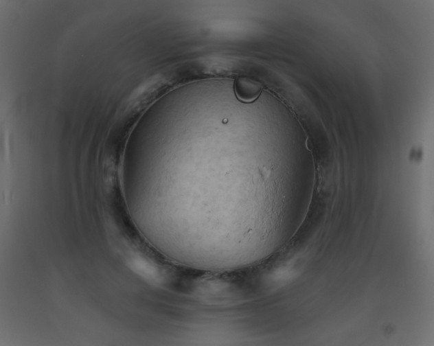 X0000093560648200710151108