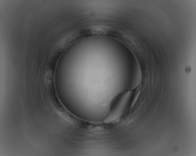 X0000093560649200710151108