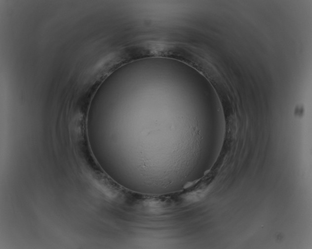 X0000093560650200710151108