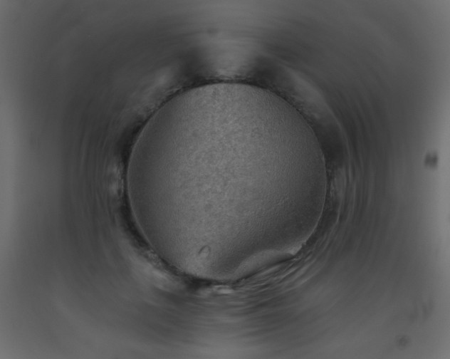 X0000093560651200710151108
