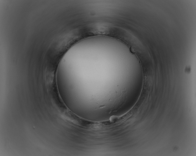 X0000093560652200710151108