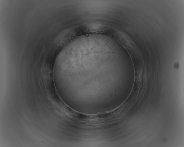 X0000093560653200710151108