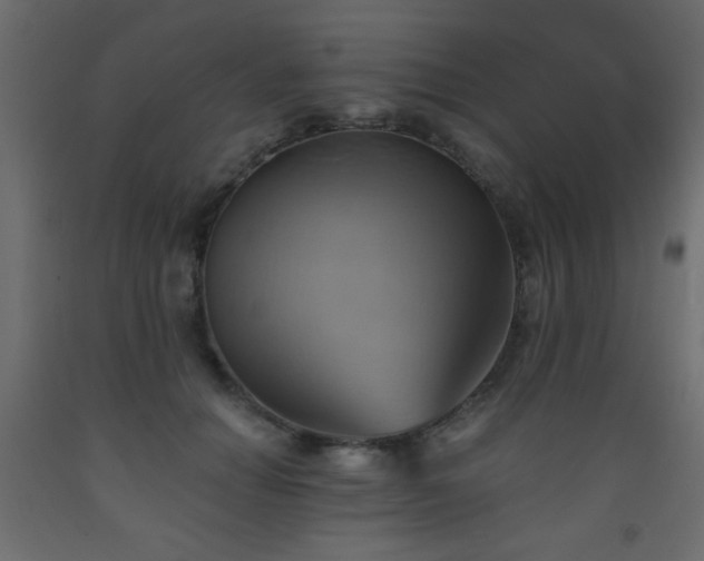 X0000093560654200710151108