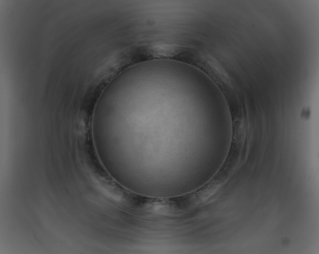 X0000093560655200710151108