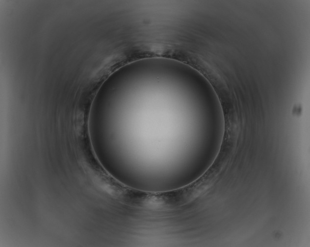 X0000093560656200710151108
