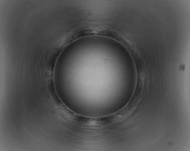 X0000093560657200710151108