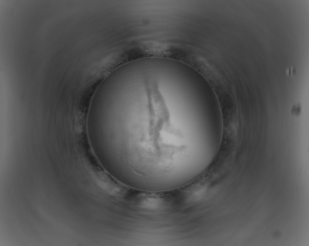 X0000093560658200710151108