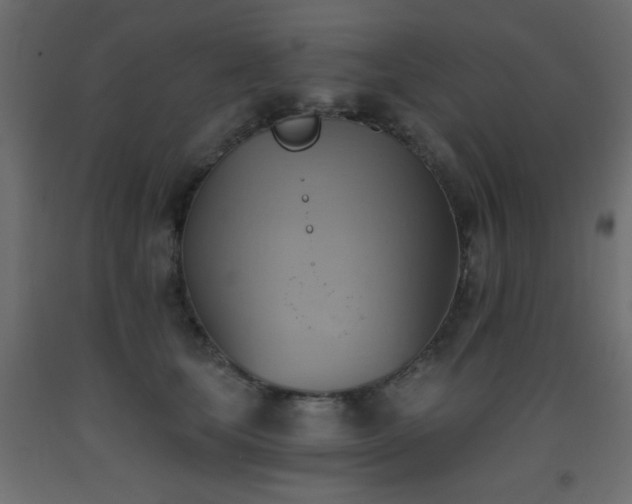 X0000093560659200710151108