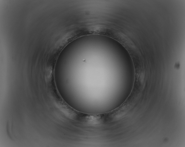 X0000093560660200710151108