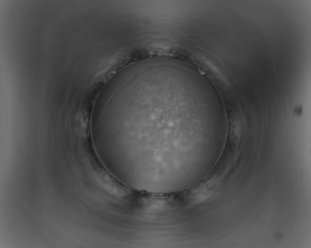 X0000093560661200710151108
