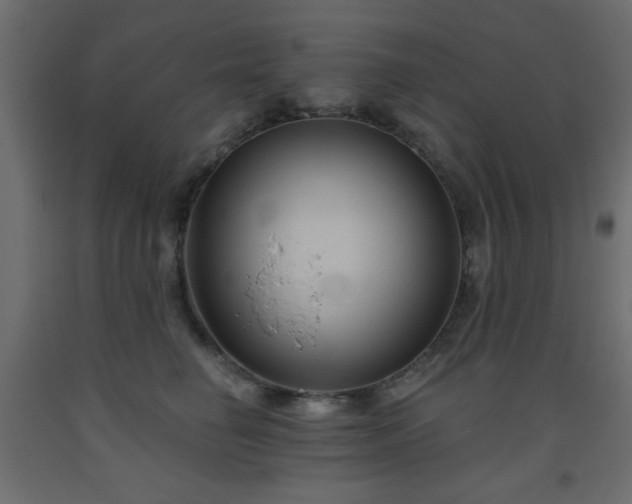 X0000093560662200710151108