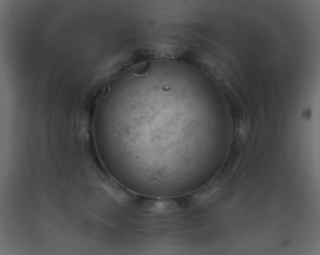 X0000093560663200710151108