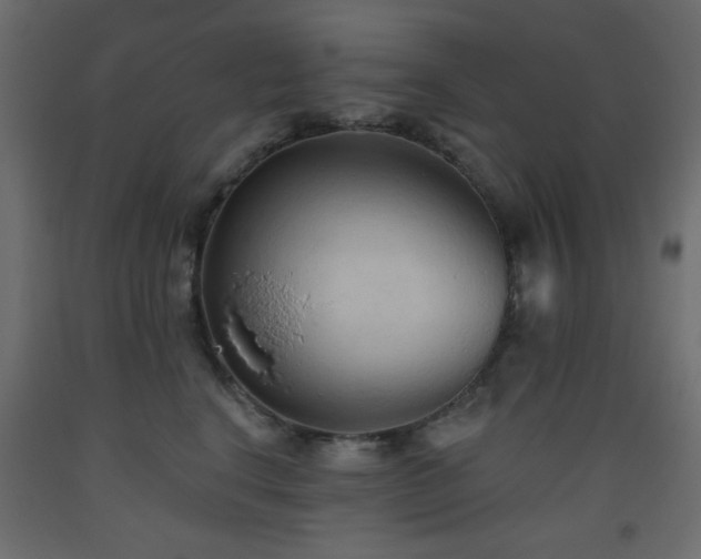 X0000093560664200710151108