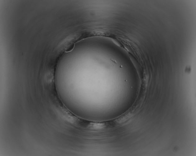 X0000093560665200710151108