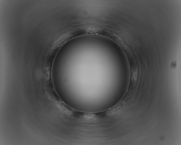 X0000093560666200710151108