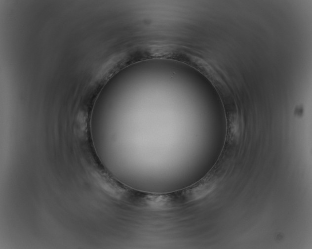 X0000093560667200710151108