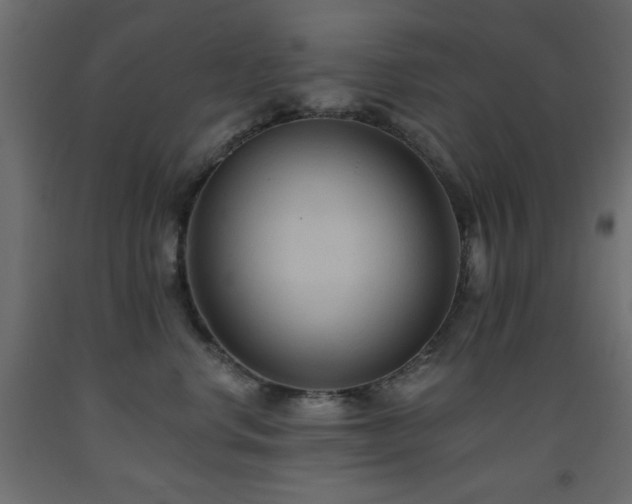 X0000093560668200710151108