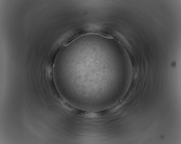 X0000093560669200710151108