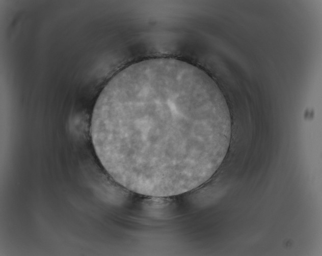 X0000093560672200710151108