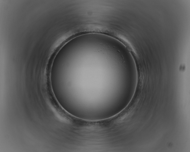 X0000093560674200710151108