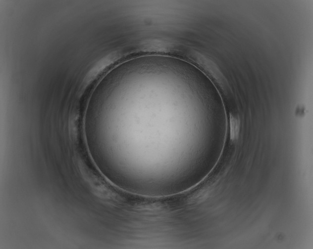 X0000093560675200710151108